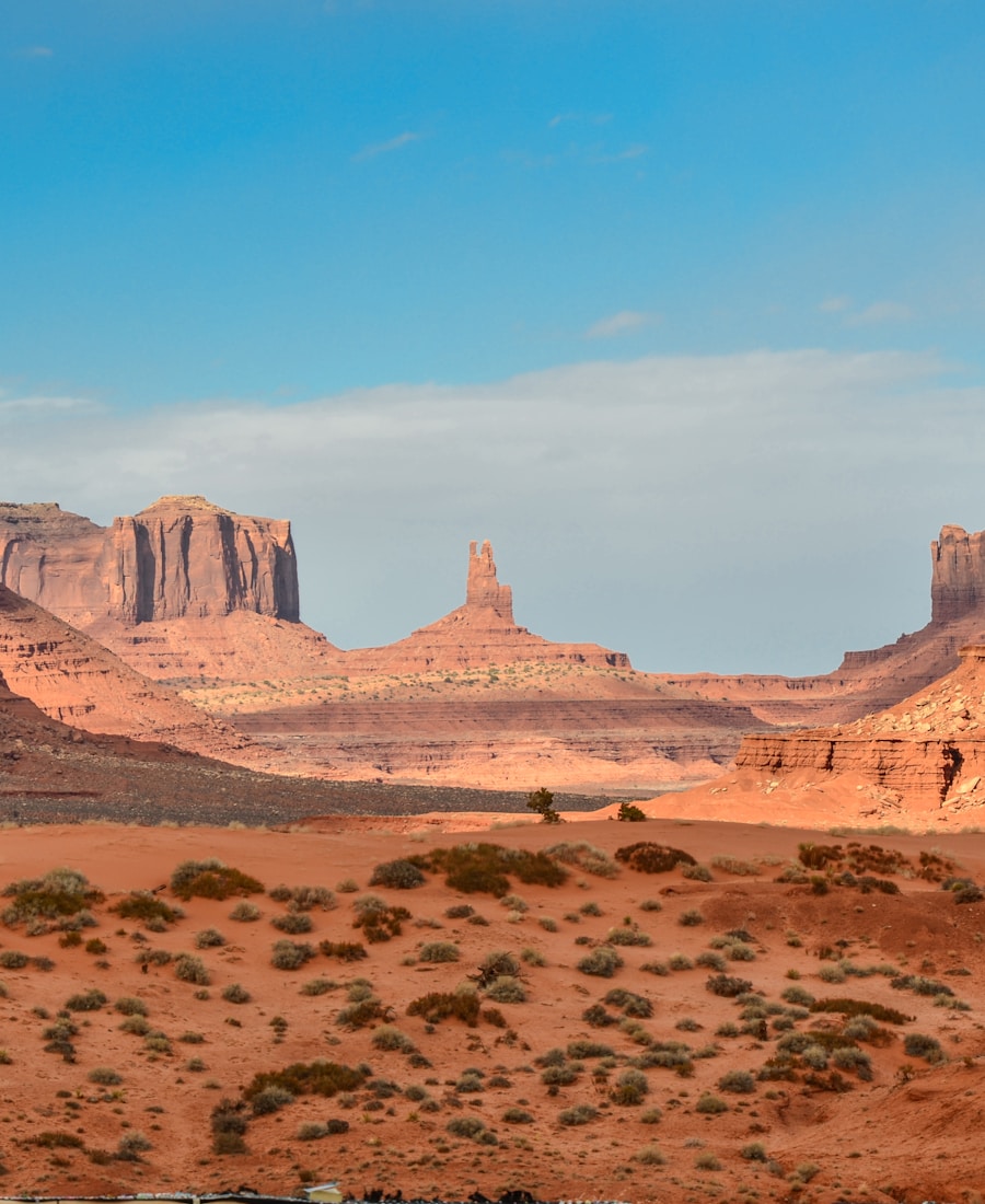 Desert Horizon